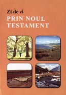 Zi de zi prin Noul Testament