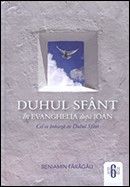 Duhul Sfant in Evanghelia dupa Ioan. Cel ce boteaza cu Duhul Sfant