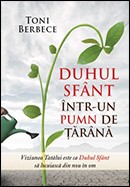 Duhul Sfant intr-un pumn de tarana. Viziunea Tatalui este ca Duhul Sfant sa locuiasca din nou in om