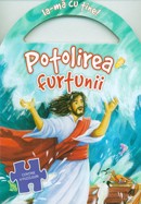 Carte puzzle - Potolirea furtunii