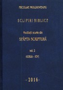 Sclipiri biblice. Meditatii scurte din Sfanta Scriptura. Vol. 2. (Iosua - Iov)