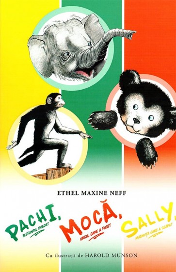 Pachi, elefantul evadat; Moca, ursul care a fugit; Sally, maimuta care a scapat