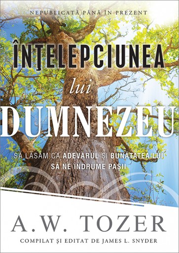 Intelepciunea lui Dumnezeu. Sa lasam ca adevarul si bunatatea Lui sa ne indrume pasii