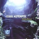 Cerul asteapta