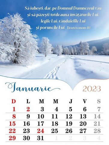 Calendar de perete 2023 - format A4