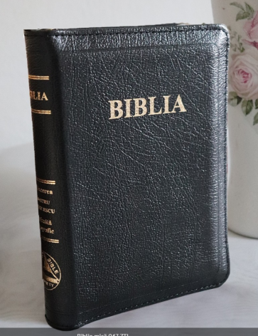 Biblie mică 047 ZTI_Negru