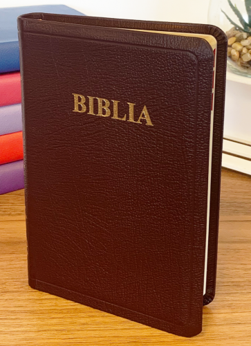 Biblie mică 047 TI_Visiniu