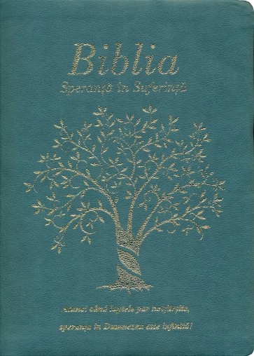 Biblia - Speranţă în suferinţă - copertă albastră