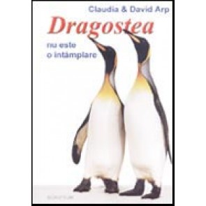 Dragostea nu este o intamplare