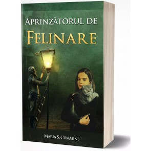 Aprinzatorul de felinare