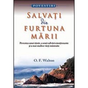 Salvati din furtuna marii. Povestea unui tanar, a unei salvari emotionante si a mai multor vieti mantuite