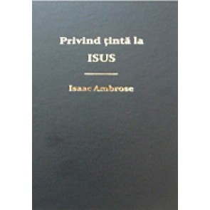 Privind tinta la Isus. O priveliste a Evangheliei vesnice sau privirea sufletului la Isus in timp ce El savarseste mareata lucrare de mantuire a omului, de la inceput la sfarsit