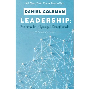 Leadership: puterea inteligentei emotionale