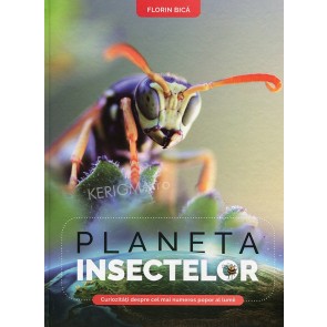 Planeta insectelor. Curiozități despre cel mai numeros popor al lumii