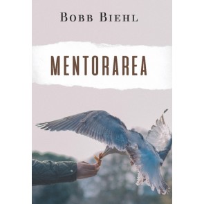 Mentorarea. Cum să găsești un mentor și cum să devii unul