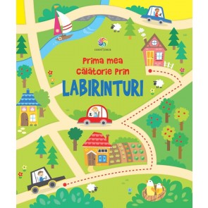 Prima mea carte prin labirinturi