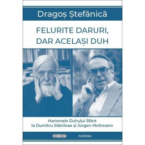 Felurite daruri, dar același Duh. Harismele Duhului Sfânt la Dumitru Stăniloae și Jürgen Moltmann