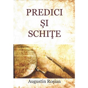 Predici și schițe. Vol. I