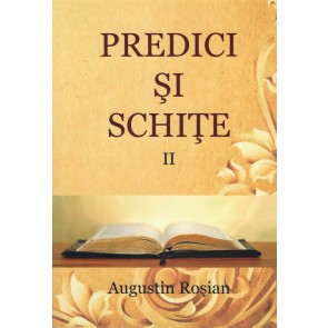 Predici și schițe. Vol. II
