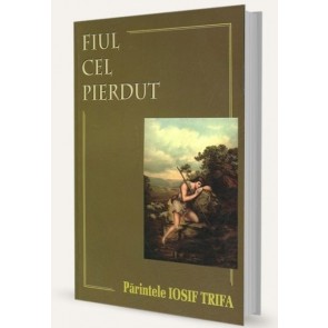 Fiul cel pierdut