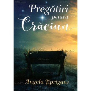 Pregătiri pentru Crăciun