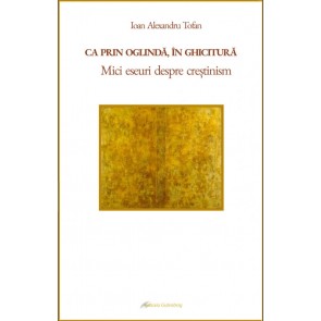 Ca prin oglindă, în ghicitură: Mici eseuri despre creștinism