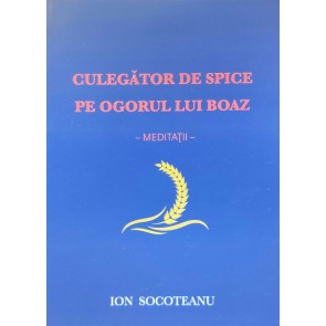 Culegator de spice pe ogorul lui Boaz: Meditații