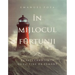 În mijlocul furturnii: Ce faci când viața dă cu tine de pământ