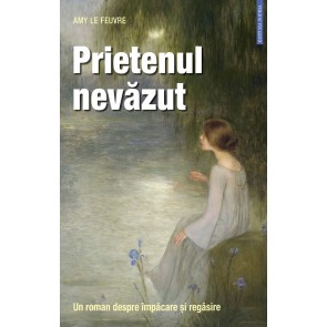 Prietenul nevăzut. Un roman despre împăcare și regăsire