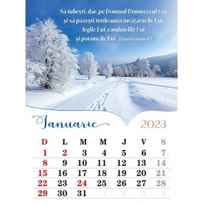 Calendar de perete 2023 - format A4