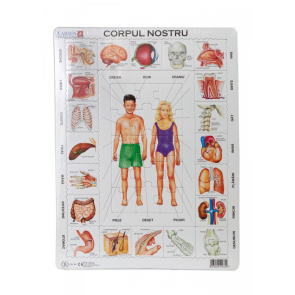 Puzzle - Corpul nostru