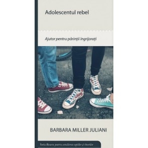 Adolescentul rebel - Resurse pentru consilierea copiilor si tinerilor
