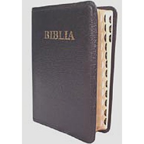 Biblia [editie deLuxe] MJ-N-S. SBR