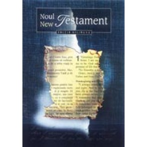 Noul Testament / New Testament [Editie bilingva]