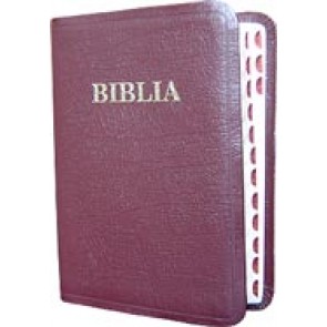 Biblia [editie deLuxe] M-B-S. SBR