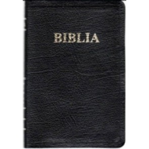 Biblia [editie deLuxe]. Argintiu. 17 x 25 cm. SBR