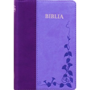 BIBLIA 046 TI ROZ