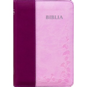 BIBLIA 046 ZTI ROZ