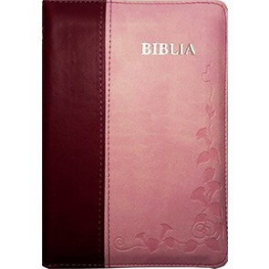 Biblia SBIR 046 ZTI (roz)