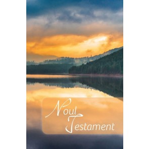 Noul Testament – ed. 2021 – format mic – multicolor