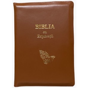 Biblia cu concordanță și explicații, fără index, cu mâini în rugăciune -- PF -- Maro deschis