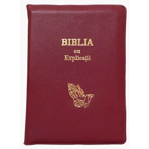 Biblia cu concordanță și explicații, fără index, cu mâini în rugăciune -- PF – Vișiniu