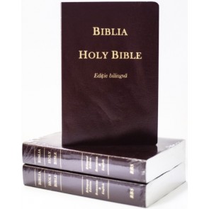 Biblie bilingvă română-engleză ediție economică---Vișiniu