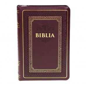 Biblia 056 ZTI stph – Visiniu