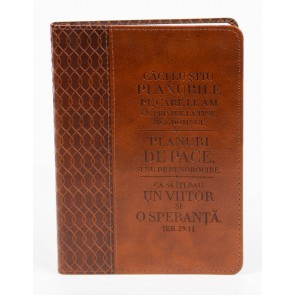 Jurnal: Căci Eu știu planurile pe care le am cu privire la tine (Maro)