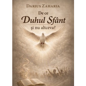 De ce Duhul Sfânt și nu altceva?